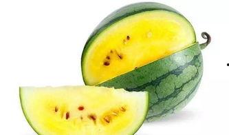 娱乐吃瓜拍摄地点在哪里