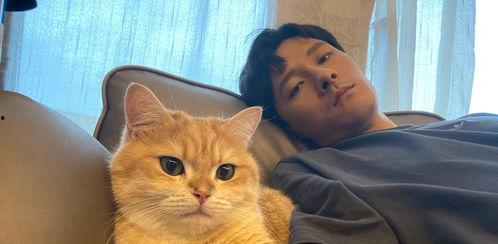 娱乐吃瓜酱替小猫赎身